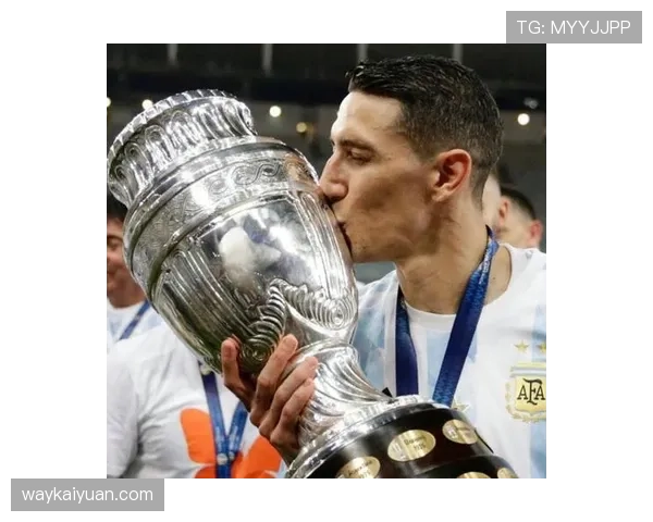 安赫尔·迪马利亚英超单赛季高开低走表现解析