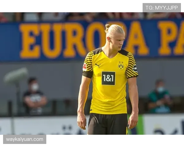 伊萨克与凯恩：全面中锋与技术型中锋的能力边界与战术适配性对比