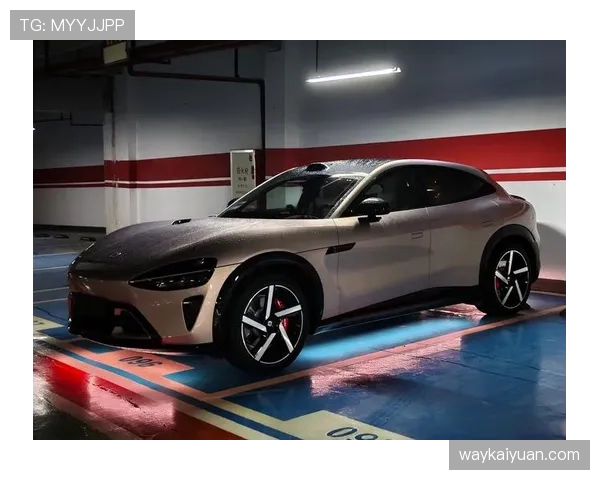 孙兴慜场下的豪车库，普通人都只敢远观不敢近看了吧？